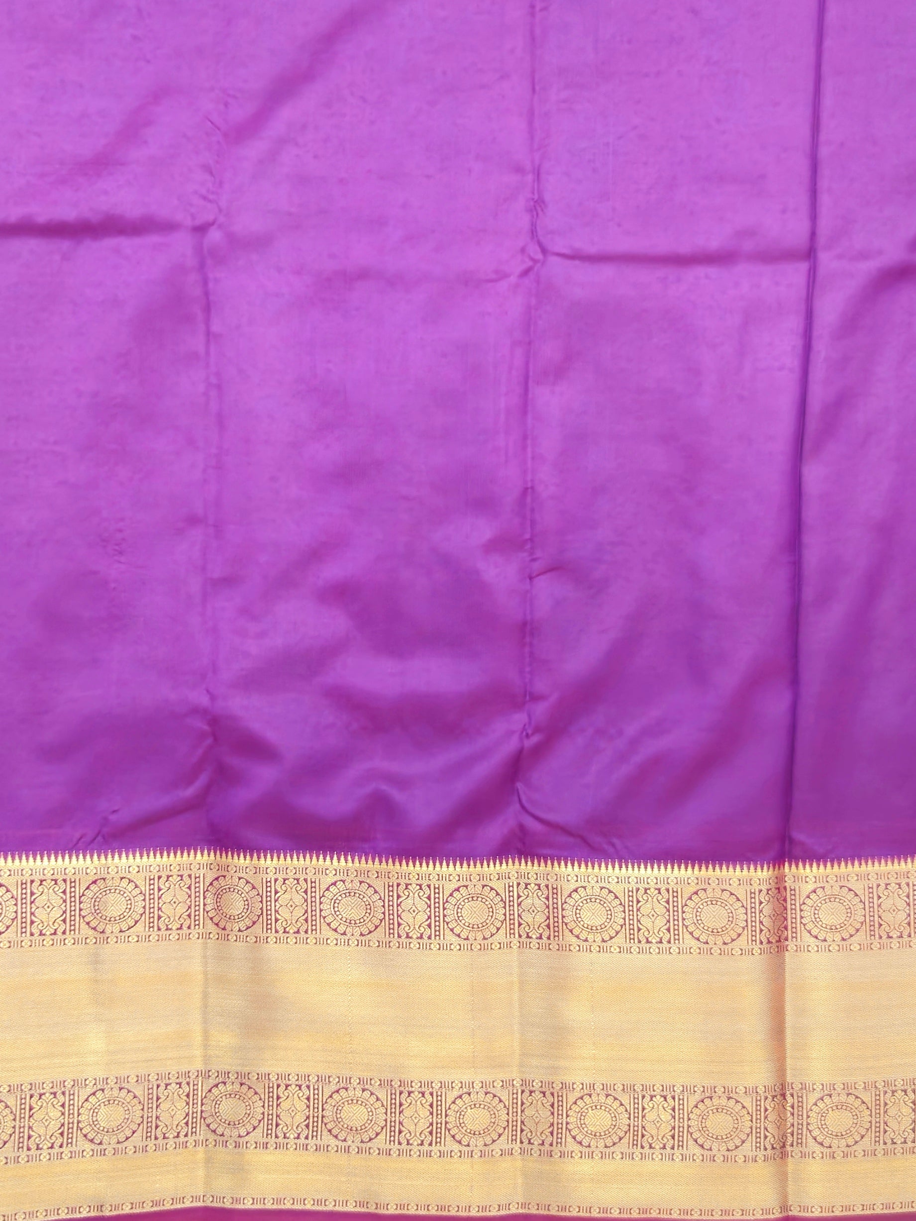 Kanchivaram golden leaf weave saree in sky blue color with pattu border