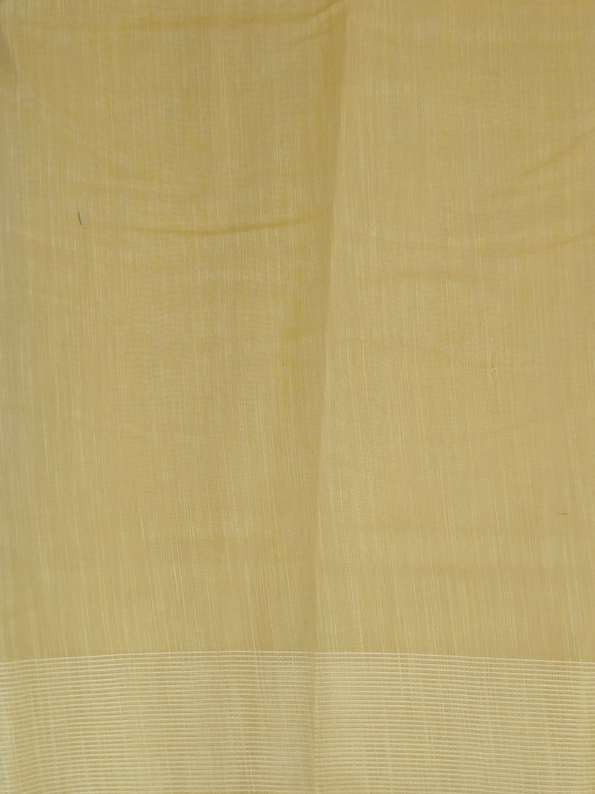 Kalamkari saree in designer print pallu and plain blouse