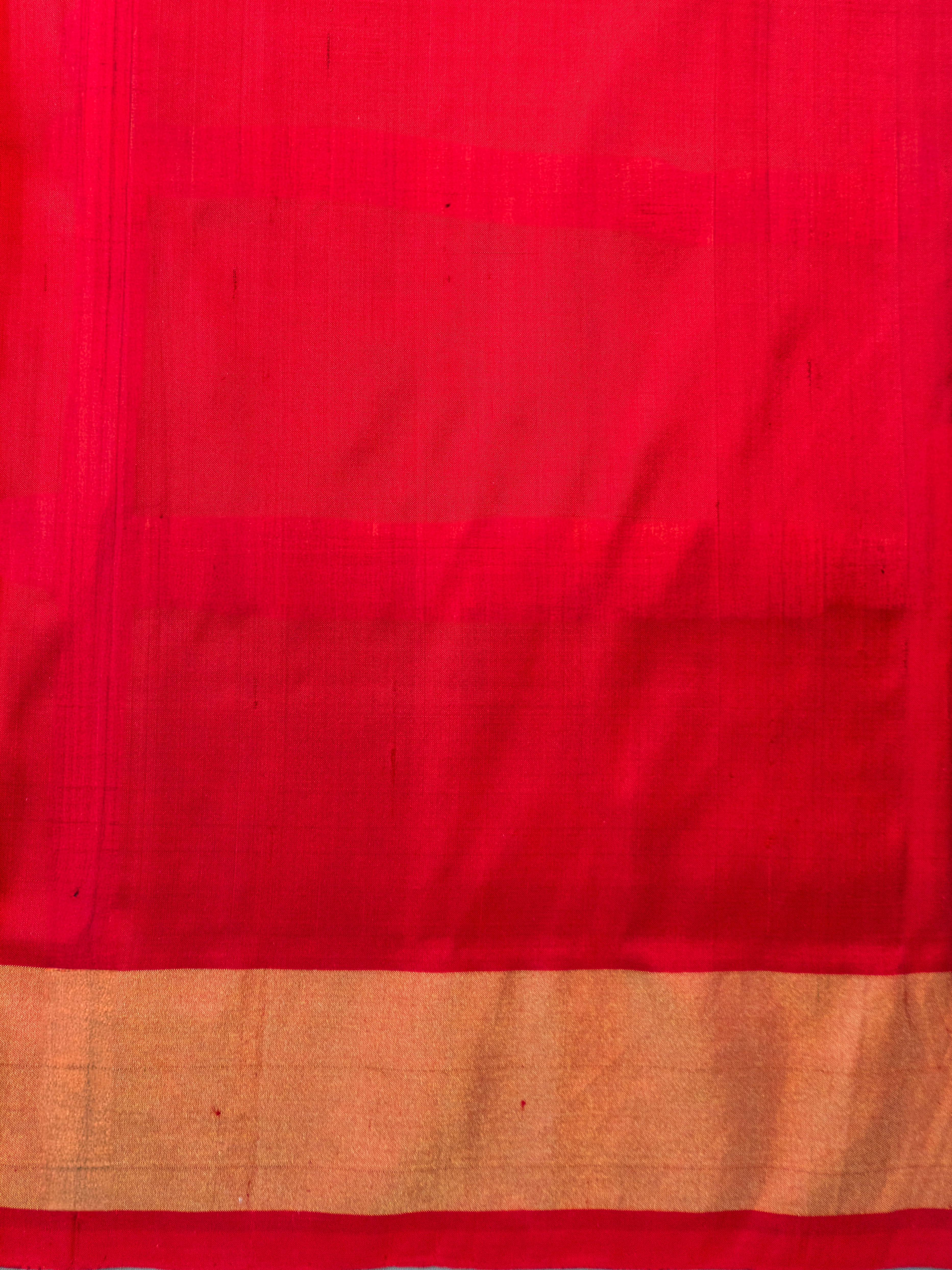 Pure Pochampally silk saree in Green double ikkat with designer pallu and contrast Blouse