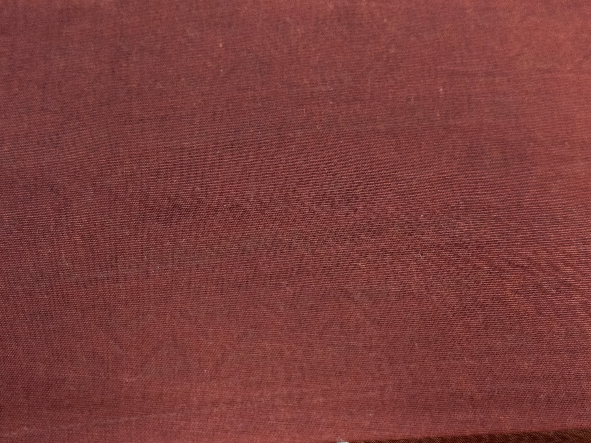 Kalamkari indo cotton saree scenic print pallu