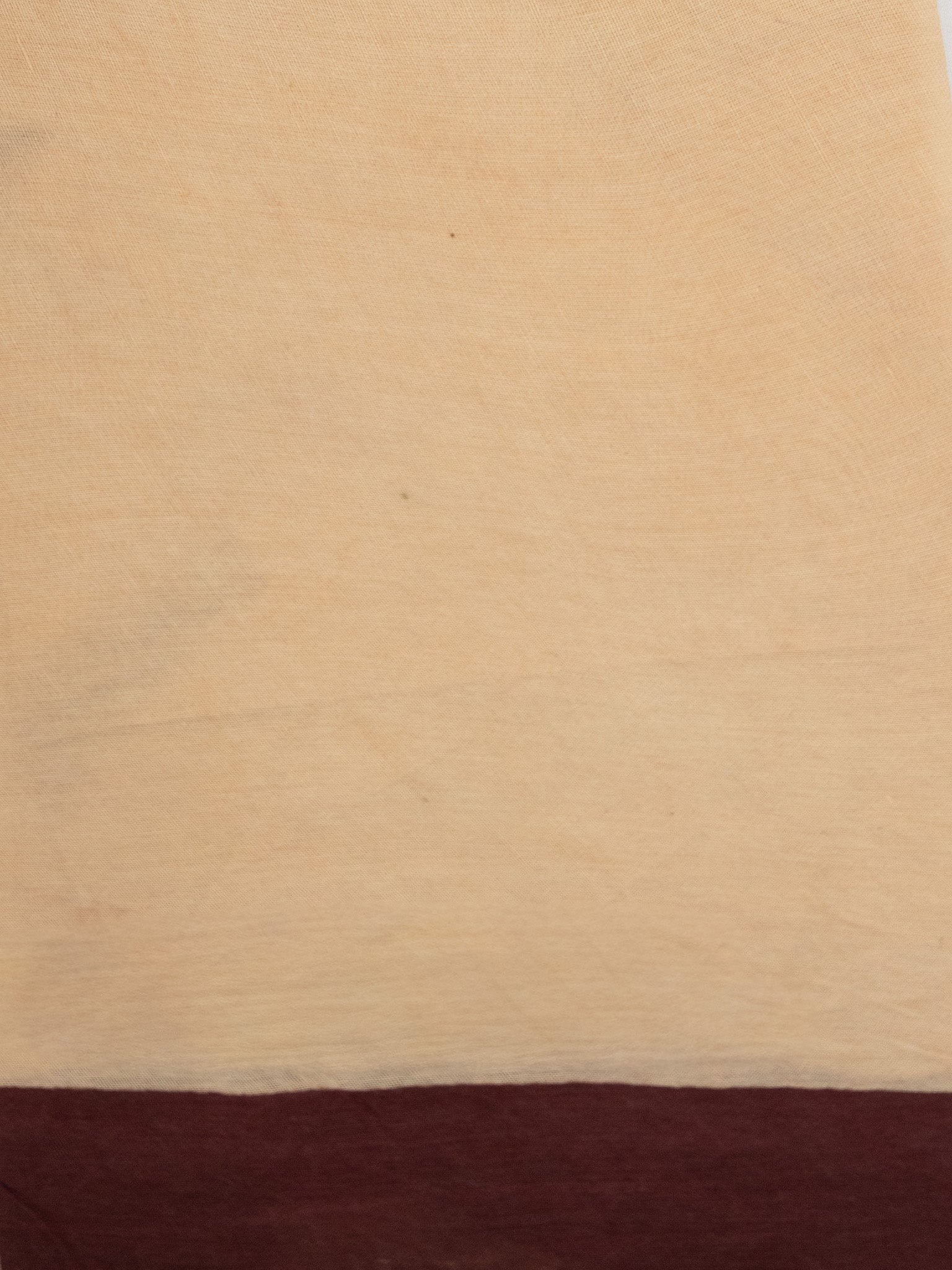 Pochampally Pure Cotton Saree – Authentic Handloom Ikat Weave