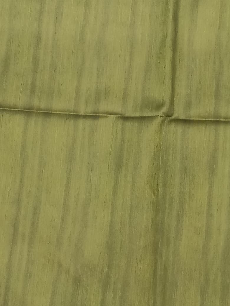 Kalamkari butta saree artistic fish print pallu